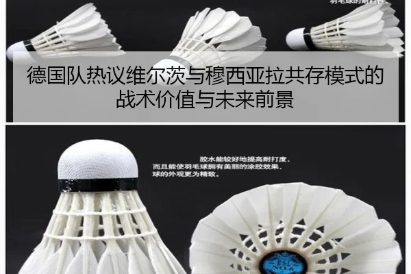 德国队热议维尔茨与穆西亚拉共存模式的战术价值与未来前景