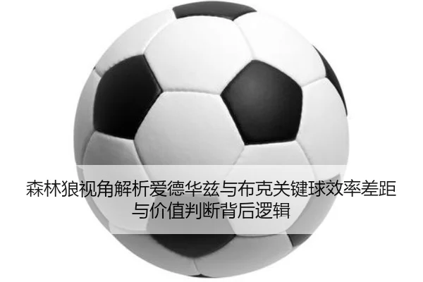 森林狼视角解析爱德华兹与布克关键球效率差距与价值判断背后逻辑